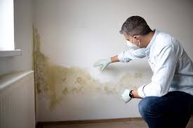 Best Emergency Mold Remediation  in Granville, WV